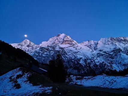 Sonnenberg Dormitories Mürren Eksteriør bilde
