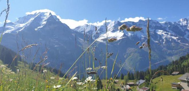 Sonnenberg Dormitories Mürren Eksteriør bilde